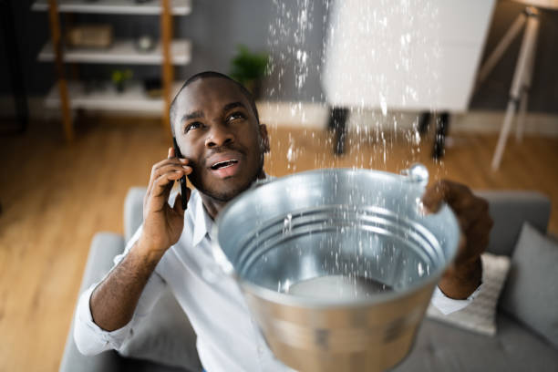 Best 24-hour water damage restoration  in Keystone, FL