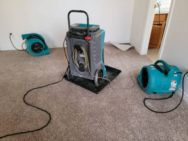 Best Carpet water damage restoration  in Keystone, FL