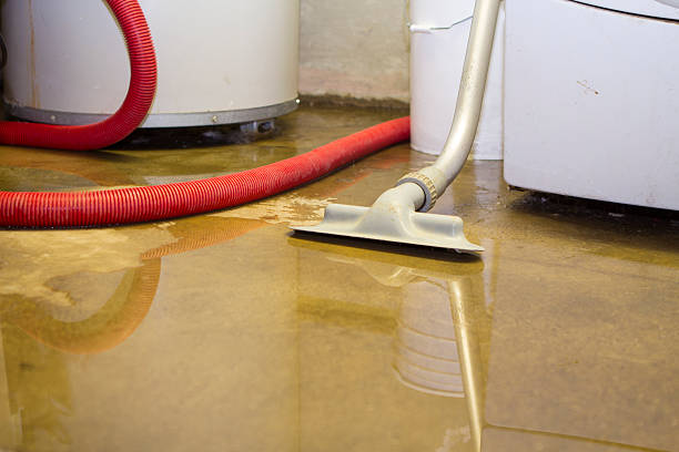 Best 24/7 water damage repair  in Keystone, FL